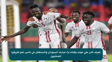 تعرف الآن على موعد وقناة بث مباراة السودان والسنغال في كأس أمم إفريقيا للمحليين